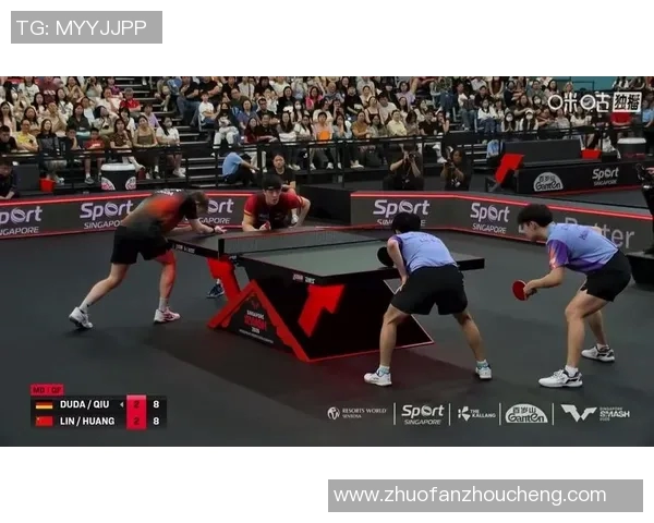 新加坡与阿根廷精彩对决全场回放分析与精彩瞬间重温